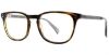 Picture of Adrienne Vittadini Eyeglasses 6021