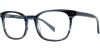 Picture of Adrienne Vittadini Eyeglasses 6025