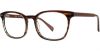 Picture of Adrienne Vittadini Eyeglasses 6025