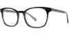 Picture of Adrienne Vittadini Eyeglasses 6025