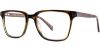 Picture of Adrienne Vittadini Eyeglasses 6026