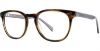 Picture of Adrienne Vittadini Eyeglasses 6027