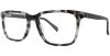 Picture of Adrienne Vittadini Eyeglasses 6035