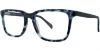 Picture of Adrienne Vittadini Eyeglasses 6035