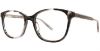 Picture of Adrienne Vittadini Petite Eyeglasses 614