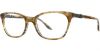 Picture of Adrienne Vittadini Petite Eyeglasses 704