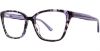 Picture of Cosmopolitan Eyeglasses Laramie