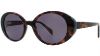 Picture of Cosmopolitan Sunglasses Lynley Sun