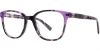 Picture of Cosmopolitan Eyeglasses Maxi