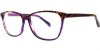 Picture of Cosmopolitan Eyeglasses Paris