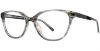 Picture of Cosmopolitan Eyeglasses Raelynn
