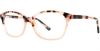 Picture of Cosmopolitan Eyeglasses Sloane