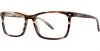 Picture of Danny Gokey Eyeglasses 150