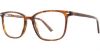 Picture of Danny Gokey Eyeglasses 151