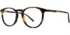 Picture of Danny Gokey Eyeglasses 160