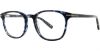 Picture of Danny Gokey Eyeglasses 173