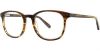 Picture of Danny Gokey Eyeglasses 173