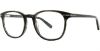 Picture of Danny Gokey Eyeglasses 173
