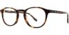 Picture of Danny Gokey Eyeglasses 179