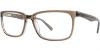 Picture of Match Eyeglasses 506