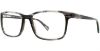 Picture of Match Eyeglasses 511