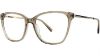 Picture of Match Eyeglasses 529