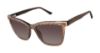 Picture of L.A.M.B. Sunglasses LA590