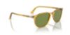 Picture of Persol Sunglasses PO3019S