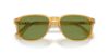 Picture of Persol Sunglasses PO3019S