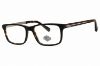 Picture of Harley Davidson Eyeglasses HD0752
