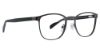 Picture of Ducks Unlimited Eyeglasses DU Landmark