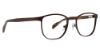 Picture of Ducks Unlimited Eyeglasses DU Landmark