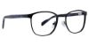 Picture of Ducks Unlimited Eyeglasses DU Landmark