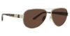 Picture of Jenny Lynn Sunglasses JL Adept