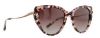 Picture of Jenny Lynn Sunglasses JL Expressive