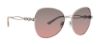 Picture of Jenny Lynn Sunglasses JL Reflective