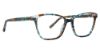 Picture of Xoxo Eyeglasses Canterbury