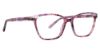Picture of Xoxo Eyeglasses Canterbury