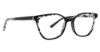 Picture of Xoxo Eyeglasses Stratford