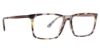 Picture of Argyleculture Eyeglasses Ritter