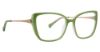 Picture of Trina Turk Eyeglasses Brioni