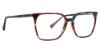Picture of Trina Turk Eyeglasses Corby