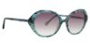 Picture of Trina Turk Sunglasses TT Jericho