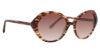 Picture of Trina Turk Sunglasses TT Jericho