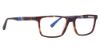 Picture of Ducks Unlimited Eyeglasses DU Reward