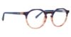 Picture of Mr Turk Eyeglasses Hanson