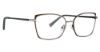Picture of Trina Turk Eyeglasses Aurelia