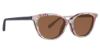 Picture of Vera Bradley Sunglasses Ciara Sun Clip