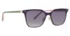 Picture of Vera Bradley Sunglasses Logan Sun Clip