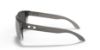 Picture of Oakley Sunglasses HOLBROOK